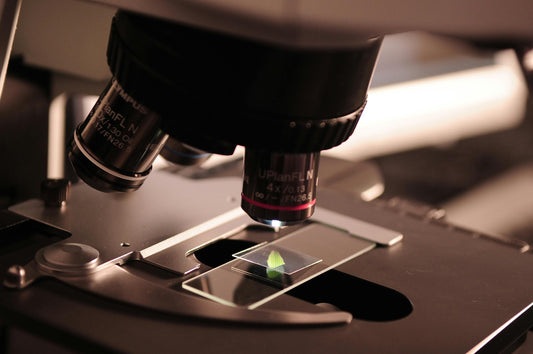 Medical Research Paper - Dr. Linh Tran - Melatonin for Pregnancy 